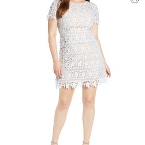 Eliza J lace sheath dress